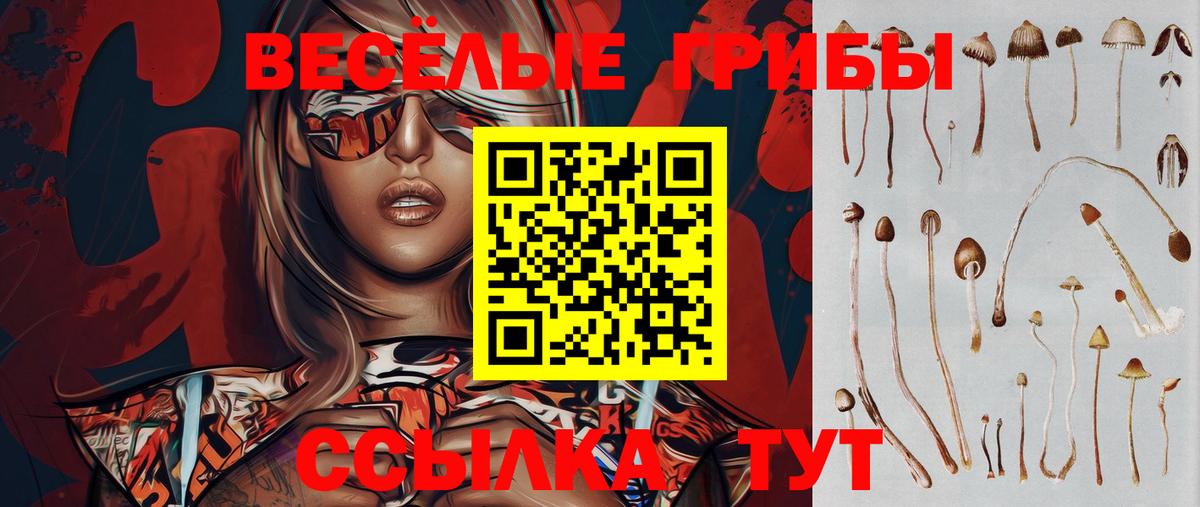 Галлюциногенные грибы Psilocybe  Вход с VPN  Галлюциногенные грибы прущие грибы  Звенигород 