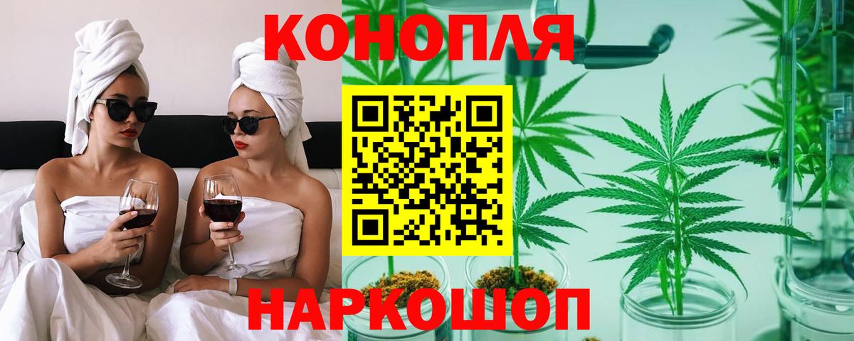 Шишки марихуана план  Конопля сатива  Вход с VPN  Звенигород  МАРИХУАНА семена  Бошки марихуана сатива 